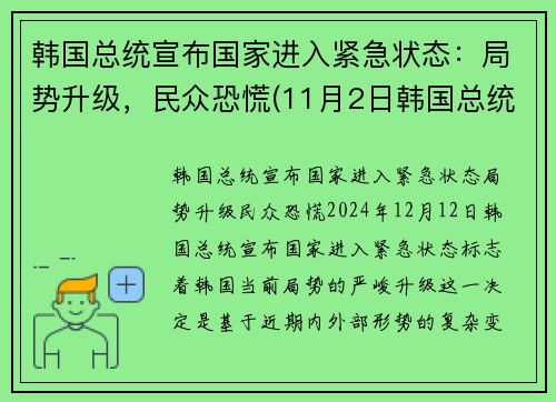 韩国总统宣布国家进入紧急状态：局势升级，民众恐慌(11月2日韩国总统入狱)