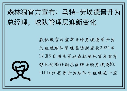 森林狼官方宣布：马特-劳埃德晋升为总经理，球队管理层迎新变化
